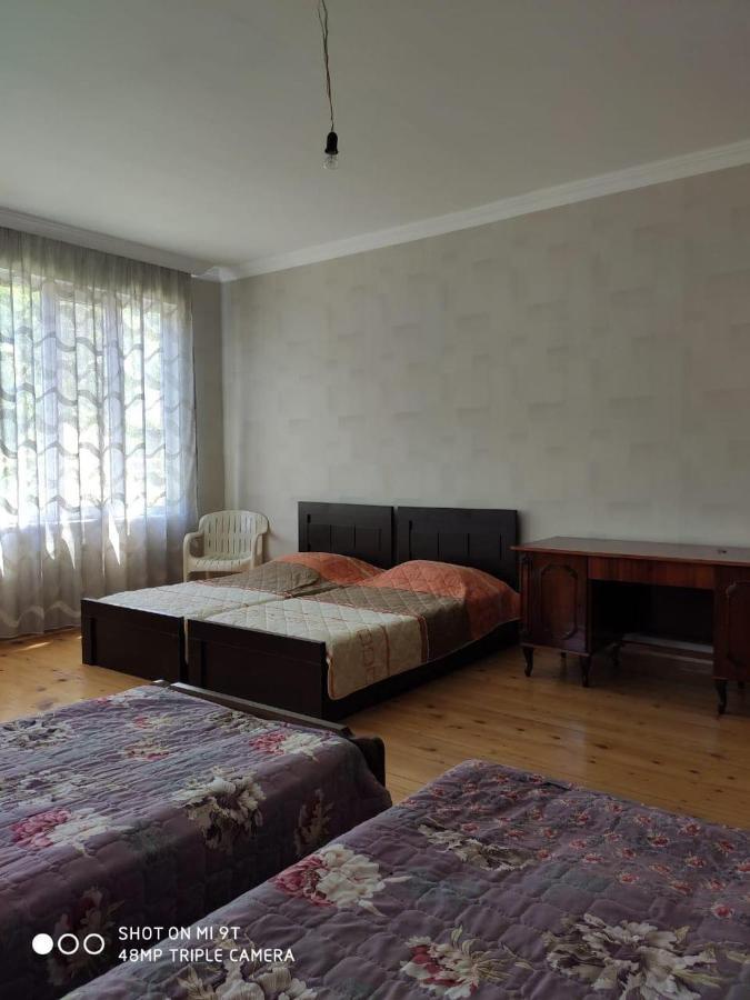 Apartment Family House In Racha,