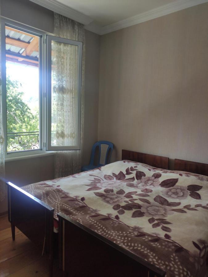 Apartment Family House In Racha, *